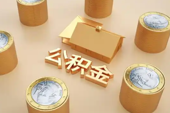 廊坊退休公积金代办提取额度是多少？